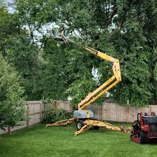 Best Tree Maintenance Programs  in Keyes, CA